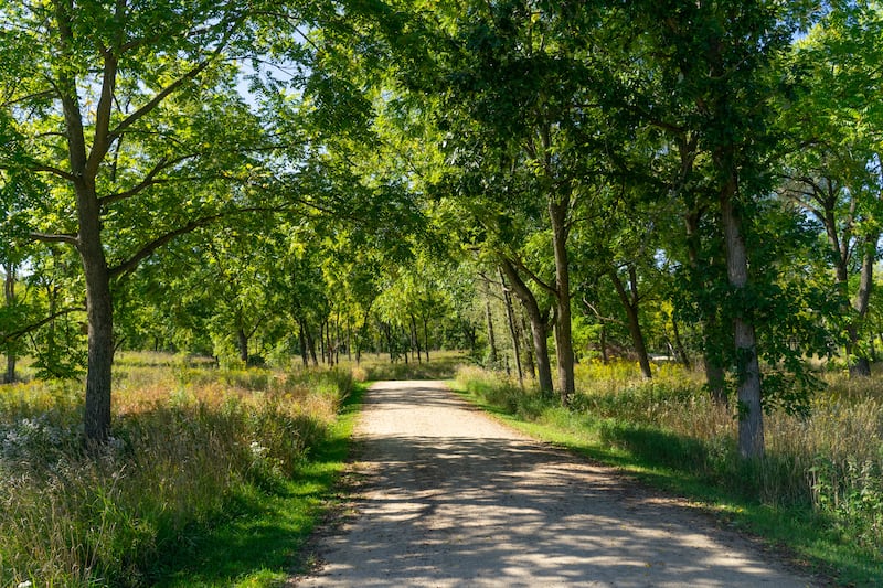 The Board of Commissioners authorized the acquisition of roughly 0.85 acres to expand Grant Woods Forest Preserve. Pictured is an existing section of Grant Woods, not the newly acquired parcel.