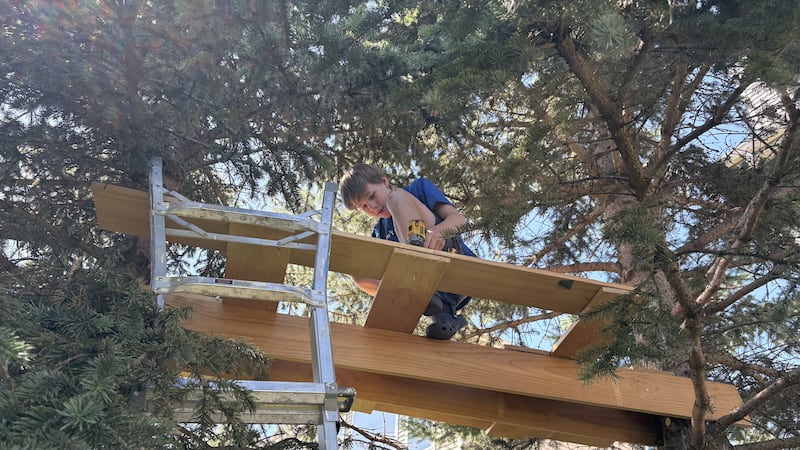 Treehouse in Lake in the Hills prompts question: Is it allowed in the village?