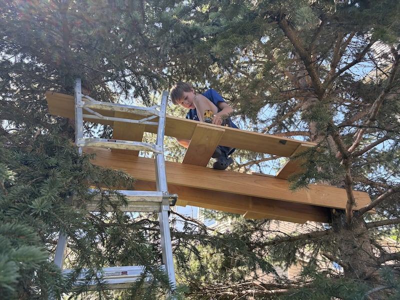 Max Santerelli, 13, of Lake in the Hills removes his treehouse Tuesday, June 2, 2026.