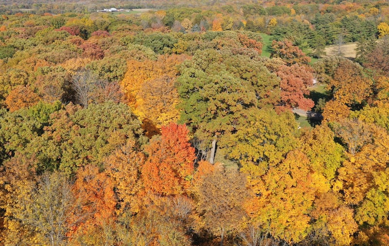 Trees begin to reach their peak at City County Park on Monday, Oct. 23, 2023 in Princeton.