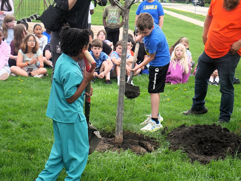 Lincoln Elementary School students take turns shoveling dirt to help plant a swamp white oak tree near their playground on Arbor Day on Friday, April 24, 2026, in DeKalb.