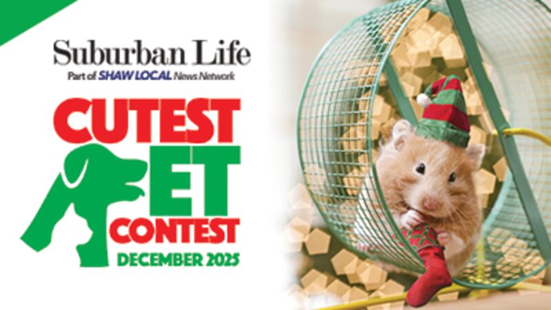 December Cutest Pet Contest
