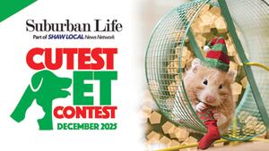 December Cutest Pet Contest