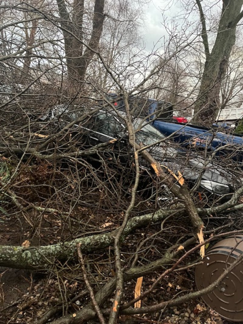 Trees and branches are down all over Kankakee County after the storms on Tuesday, March 10, 2026.