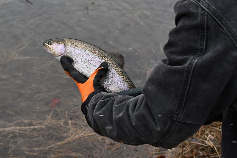 Get up early to catch some trout during the Forest Preserve District’s Trout Season Celebration on Oct. 18, 2025, at Hidden Lakes Trout Farm in Bolingbrook.