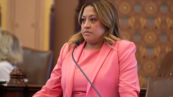 Lawmakers postpone Cook County property tax debt sale to continue working on reforms