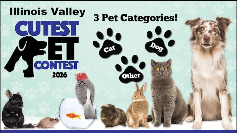 Voting is open in the Illinois Valley Cutest Pet Contest!