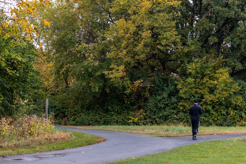 A visitor walks the path at Hammel Woods in Shorewood on Oct. 15, 2025.