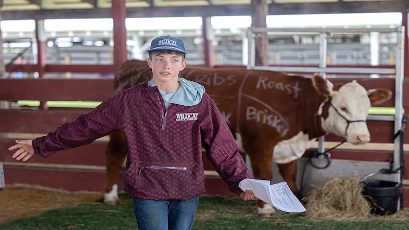 Sauk Valley Views: Photos of the Week for April 24-30, 2026