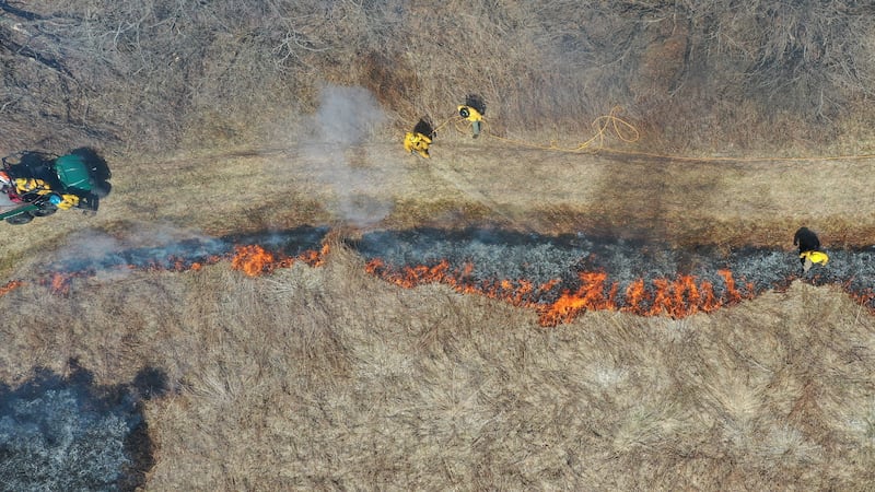 Photos: IDNR manages 300-acre prairie controlled burn near Oglesby