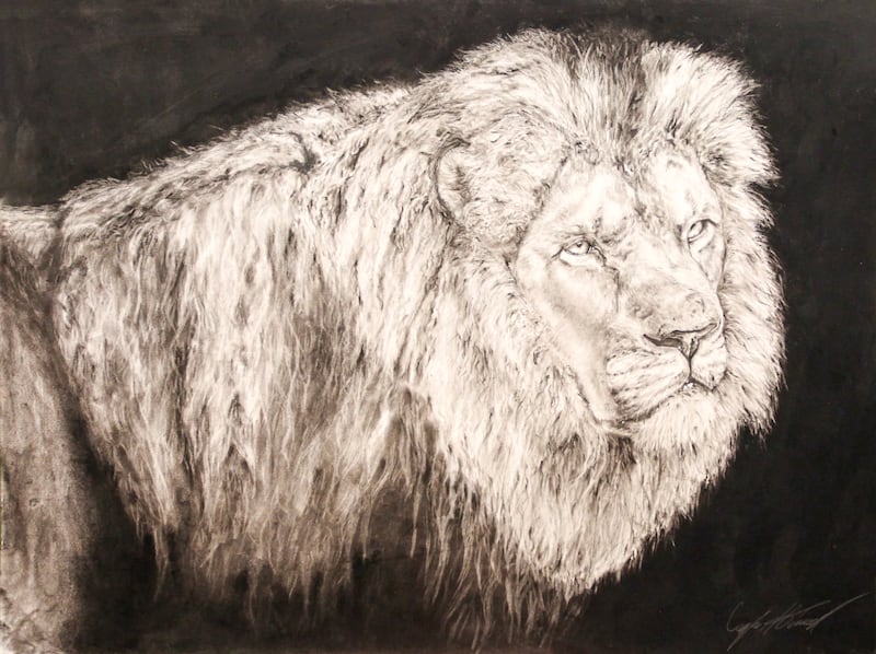 "Untamed Silence," a charcoal and pencil piece by Amboy High sophomore Caylee H., was the first-place winner in the grades 9-12 category of the 15th annual Student-Teacher Art Exhibit at Woodland Arts Academy in Sterling.