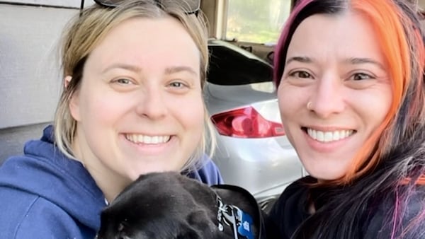 St. Charles animal rescue, brewery team up to place shelter dogs in foster homes