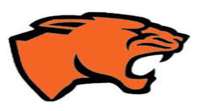 Maddie Simms Ks 17 for Gardner-South Wilmington in sectional semifinal win: Wednesday’s Daily Journal roundup