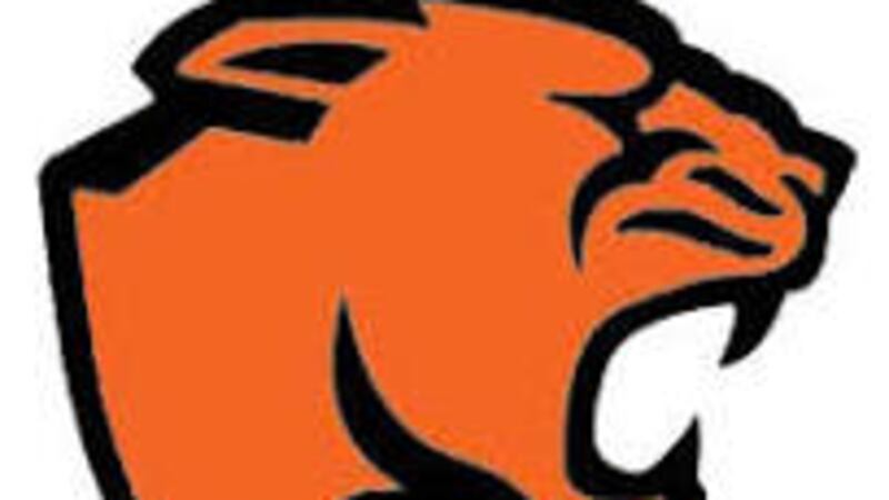 Maddie Simms Ks 17 for Gardner-South Wilmington in sectional semifinal win: Wednesday’s Daily Journal roundup
