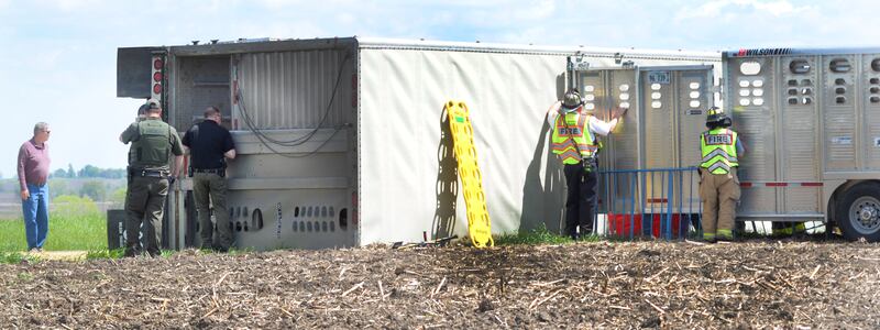 Firefighters and Ogle County Sheriff Deputies work on transferring hogs from an overturned semi-tractor and trailer to a smaller trailer following an afternoon accident on U.S. 52 and Robin Road, north west of Polo on Tuesday, May 6, 2025.