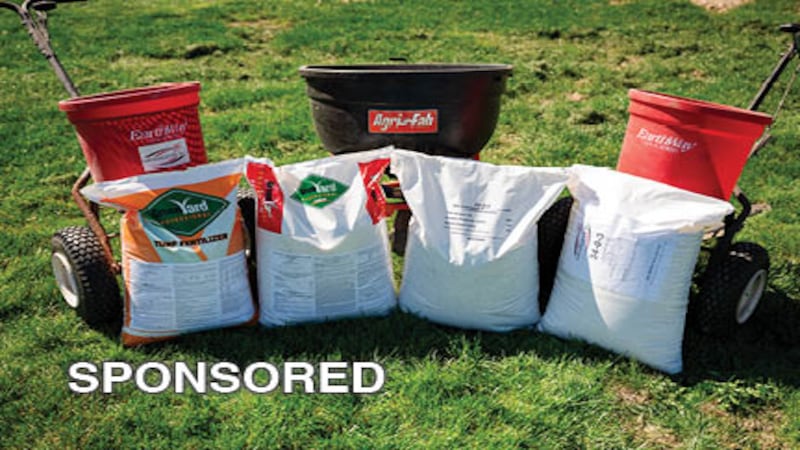 Summer Lawn Tips from GRAINCO FS:  Keep Turf Green, Healthy, and Protected