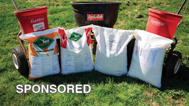 Summer Lawn Tips from GRAINCO FS: Keep Turf Green, Healthy, and Protected