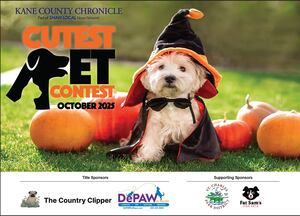 Voting is open in the Kane County’s October Cutest Pet Contest