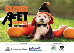 Voting is open in the Kane County’s October Cutest Pet Contest