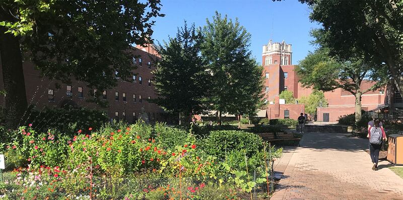 The University of St. Francis has been included in The Princeton Review Guide to Green Colleges: 2024 Edition.