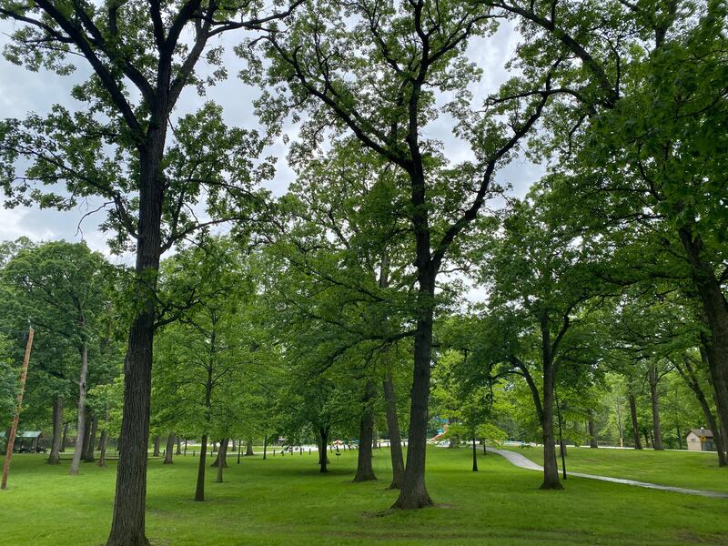 Be, do, and make.
That’s the mantra for a jam-packed family festival filled with multiple vendors, live music, food, crafts and yoga under the trees. Fforest Fest will be taking over Goold Park in Morris on Saturday June 4 from 10 a.m. to 8 p.m.