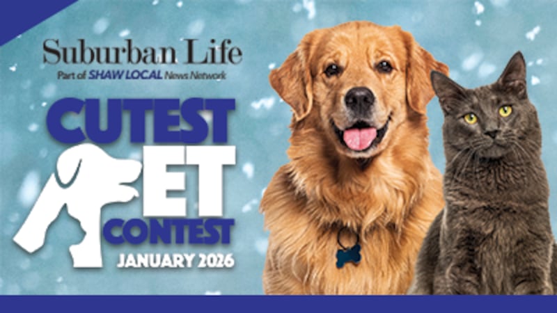 January Cutest Pet Contest!