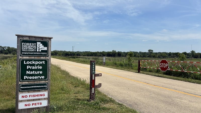 To save at-risk turtles, vehicle access will be restricted at Lockport Prairie Preservation