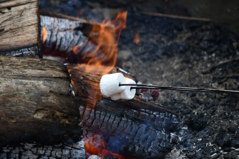 Learn low-impact camping techniques from Leave No Trace instructors at a Forest Preserve District of Will County program on Aug. 7, 2025, at Goodenow Grove Nature Preserve in Crete Township