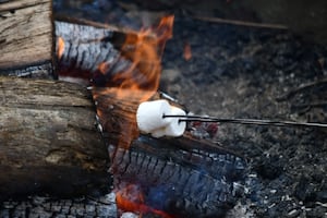 Courting love birds: Kendall County forest preserve offering Valentine’s Day stroll, campfire 