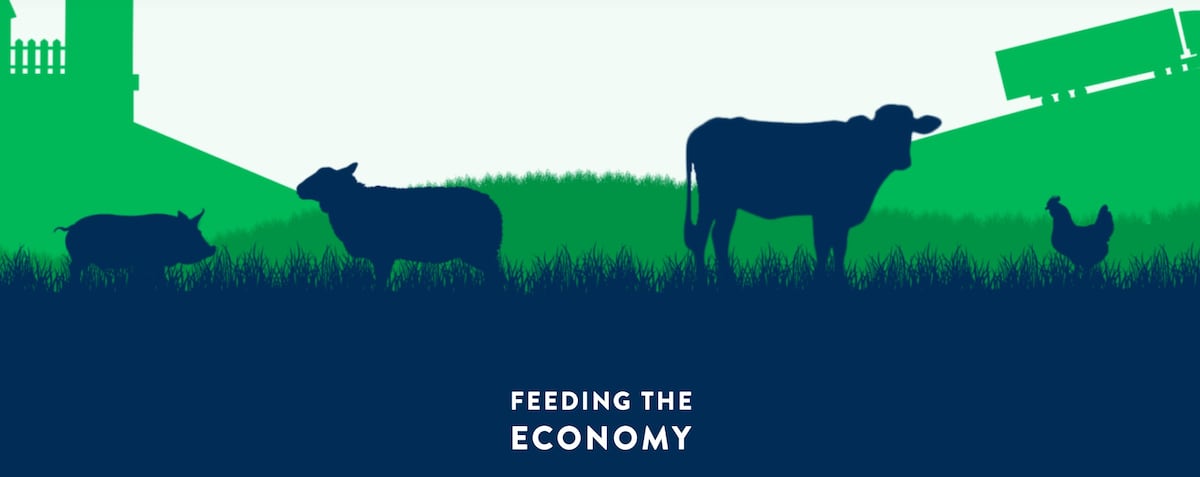 Feed the Economy report released: Illinois economic impact includes $9.6 billion in exports
