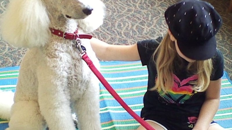Yorkville Public Library offers variety of summer programs for kids