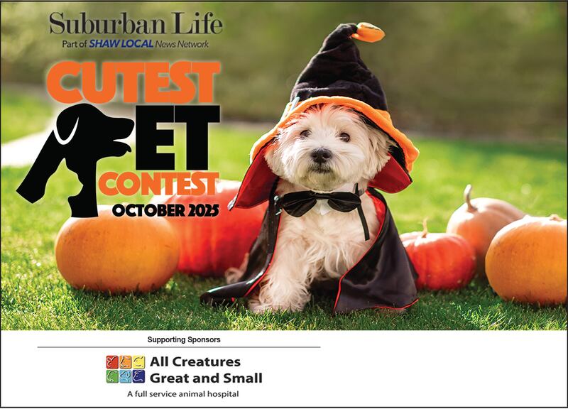 October Cutest Pet