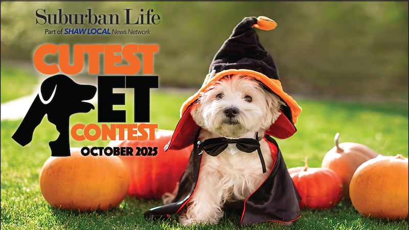 Voting is open in Suburban Life’s October Cutest Pet Contest!