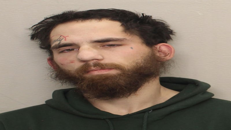 Leaf River man sentenced for fleeing from police in December