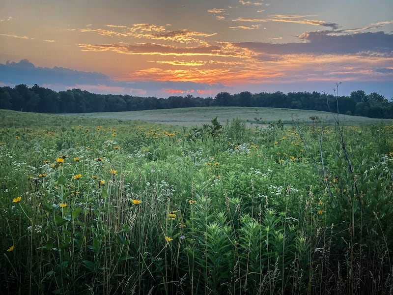 Sunset at the 208-acre Gray Willows Farm in Campton Hills. Campton Township is seeking voter support for a $17.2 million referendum April 1 for acquisition of new acres and the maintenance, development, rehabilitation and renovation of its existing open space properties.