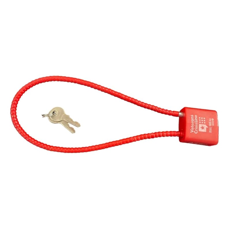 The Kane County Health Department is offering free gun locks to gun owners and retailers to promote safe firearm storage and prevent unintentional injury or death.