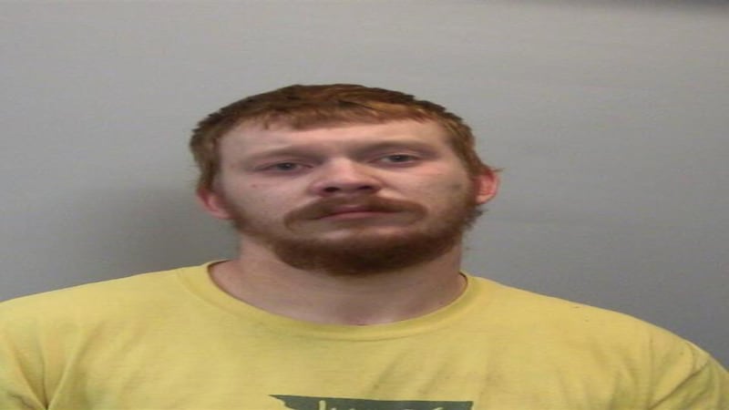 Lee County judge keeps Dixon man jailed on child sexual assault, exploitation charges