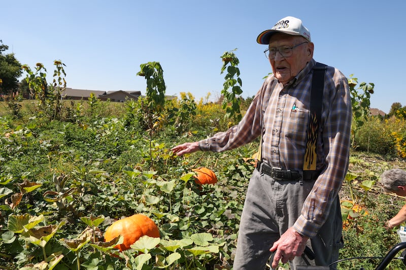 Glenn Anderson, 95, a retired Kempton-area farmer, visits his pumpkin patch near his current residence at Riverside's Westwood Oaks Independent Living in Kankakee where he grows the gourds for auction every three years to benefit the senior living community's garden club. This year's auction takes place on Saturday, Sept. 27 at 10 a.m. at the 100 Westwood Oaks Court location.