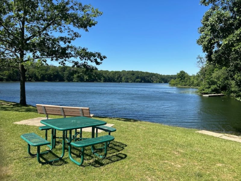 A view of Lake Carlton at Morrison-Rockwood State Park in rural Morrison on Friday, June 7, 2024.