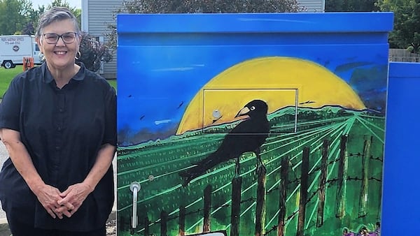 Artists wanted for America250 DeKalb utility box painting program