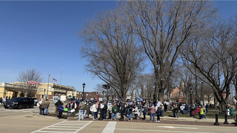 Photos: "No Kings" rally draws crowd to Washington Park in Ottawa