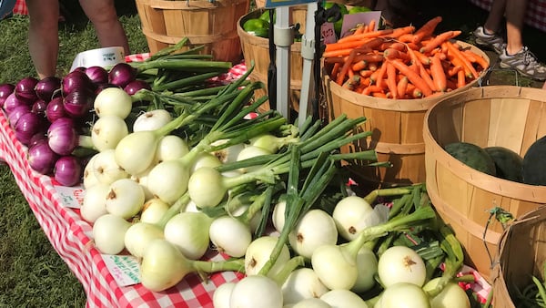 Sublette farmers market returns June 23