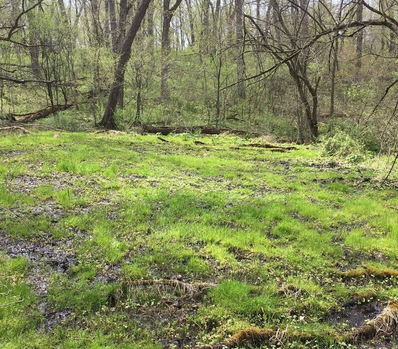 A conservation easement with a Carroll County family will protect in perpetuity a 40-acre parcel with significant natural resources while the land remains in private ownership, according to a National Land Institute news release.