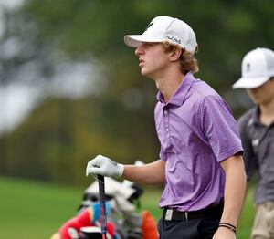 Boys golf: 2025 Northwest Herald All-Area team
