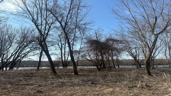 The middle of somewhere: Finding the Geographical Centers of the Illinois Valley