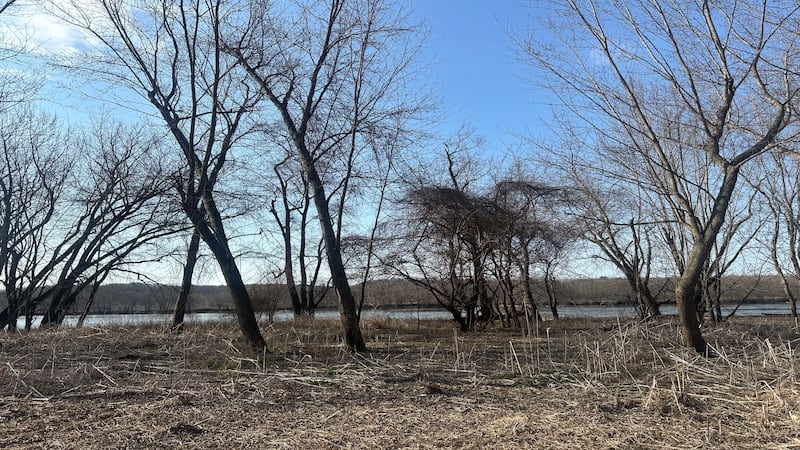 The middle of somewhere: Finding the Geographical Centers of the Illinois Valley