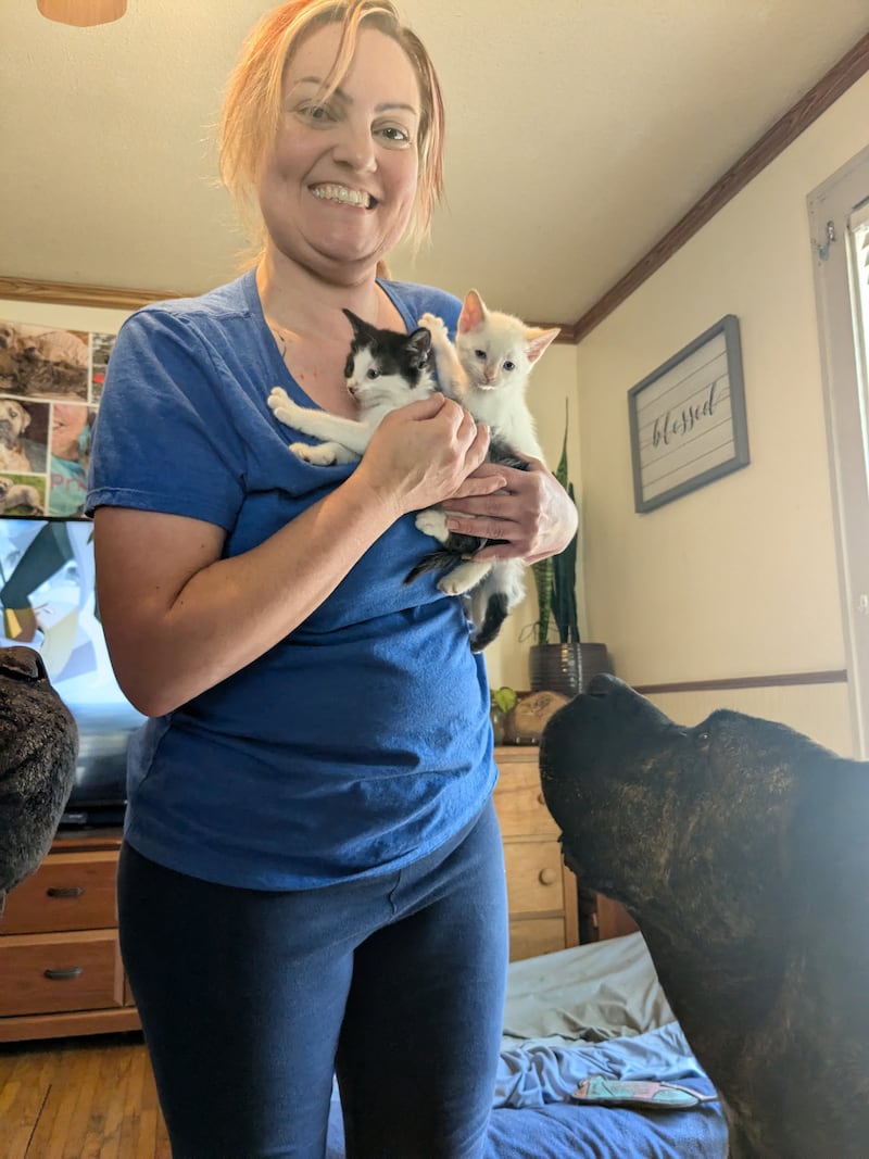 Emily Heckman of Sterling is working tirelessly to give feral cats a fighting chance, even if it means turning her home into a makeshift rescue center.