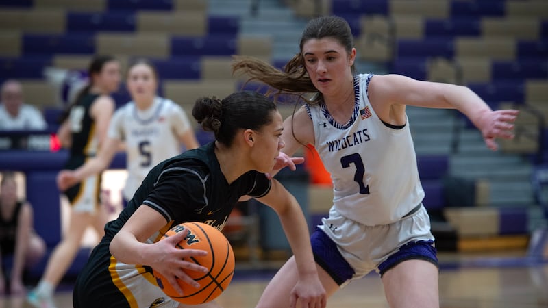 Wilmington holds on to win conference thriller 52-50 over Herscher