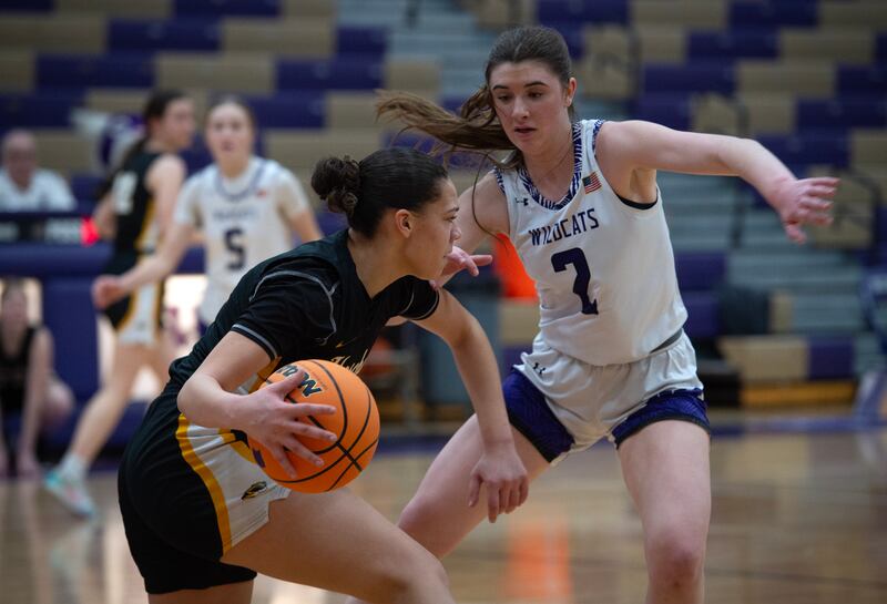 Herscher's Leia Haubner controls the ball as Wilmington's Sami Liaromatis guards in a game on Thursday, January 29, 2026.