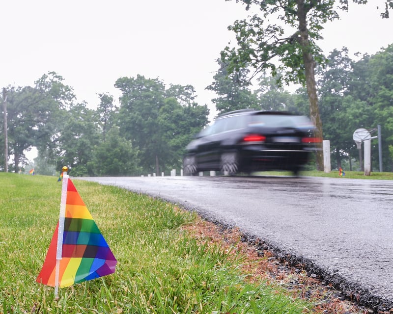 Flags line the road at Hopkins Park, 1403 Sycamore Road, in DeKalb during the inaugural Pride in the 815 event to kick off Pride Month in DeKalb County held on Saturday June 1, 2024.